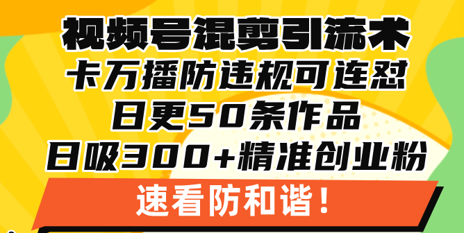 （13400期）视频号混剪引流技术，500万播放引流17000创业粉，操作简单当天学会-91学习网