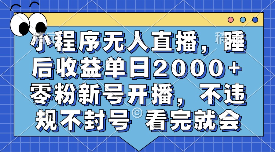 （13251期）小程序无人直播，睡后收益单日2000+ 零粉新号开播，不违规不封号 看完就会-91学习网