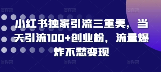 小红书独家引流三重奏，当天引流100+创业粉，流量爆炸不愁变现【揭秘】-91学习网