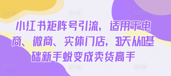 小红书矩阵号引流，适用于电商、微商、实体门店，30天从0基础新手蜕变成卖货高手-91学习网