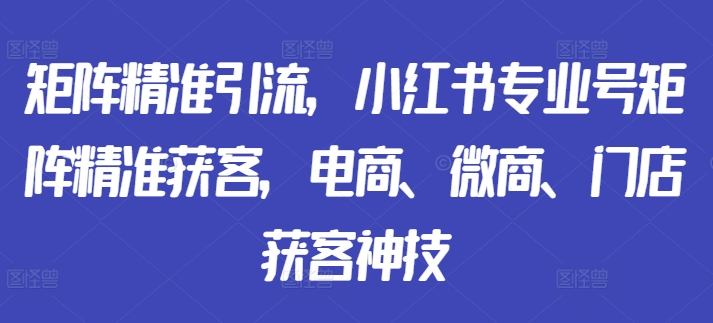 矩阵精准引流，小红书专业号矩阵精准获客，电商、微商、门店获客神技-91学习网