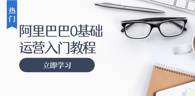 （13291期）阿里巴巴运营零基础入门教程：涵盖开店、运营、推广，快速成为电商高手-91学习网