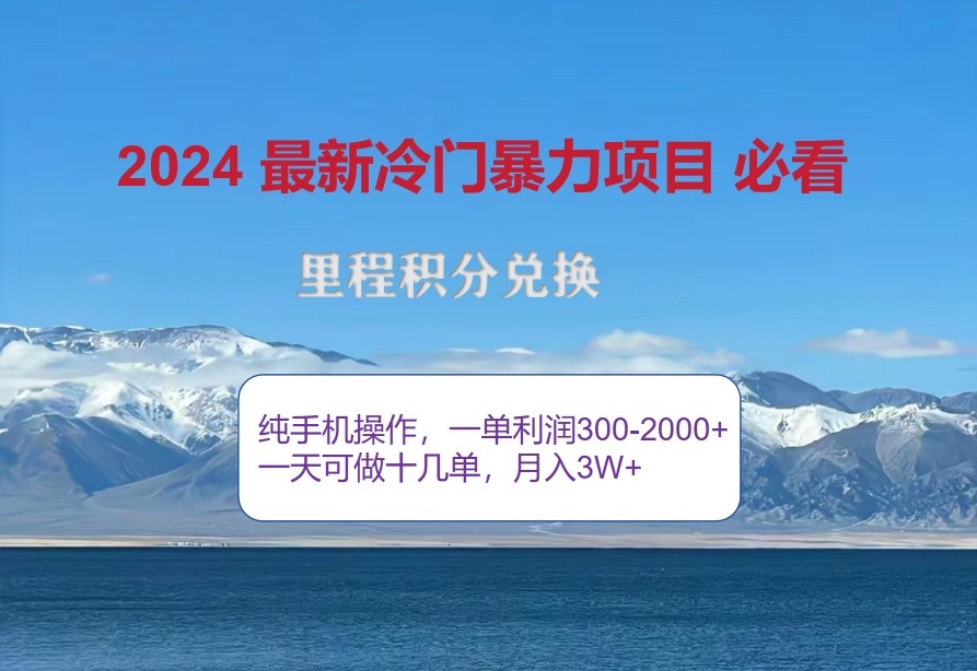 2024惊爆冷门暴利，里程积分最新玩法，高爆发期，一单300+—2000+-91学习网