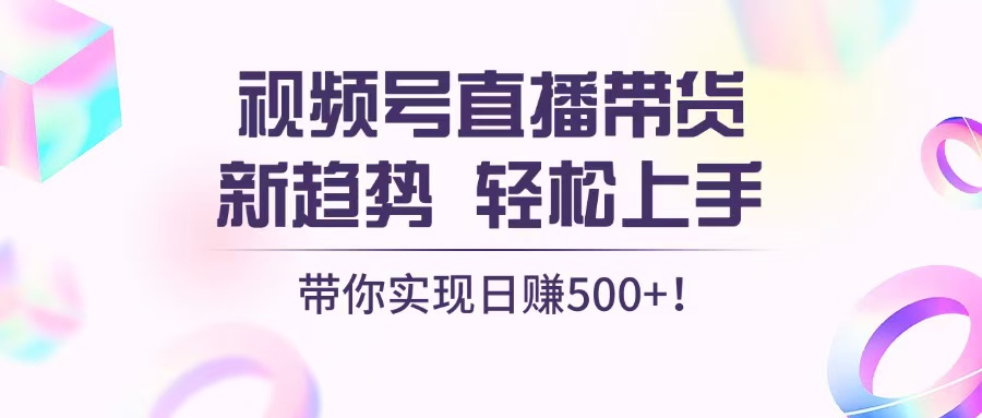 （13370期）视频号直播带货新趋势，轻松上手，带你实现日赚500+-91学习网