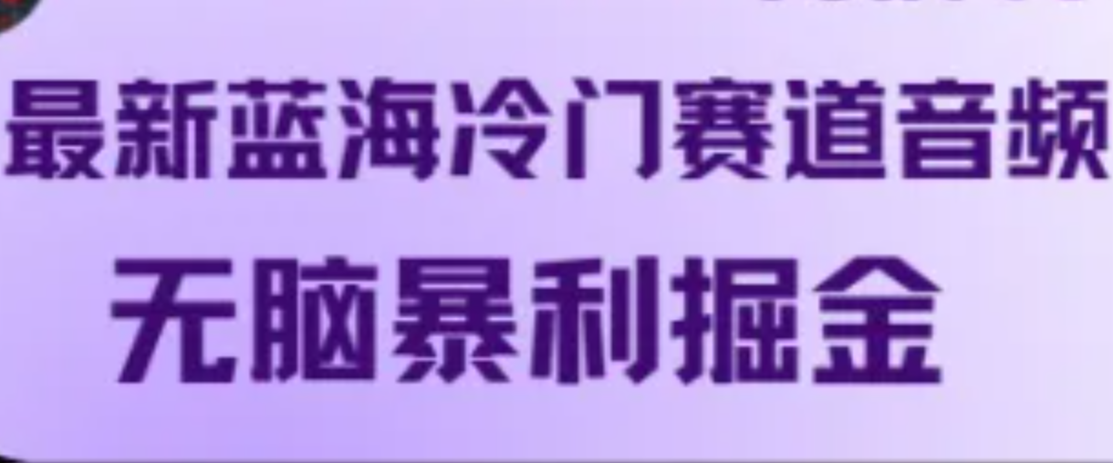 最新蓝海冷门赛道音频，无脑暴利掘金-91学习网