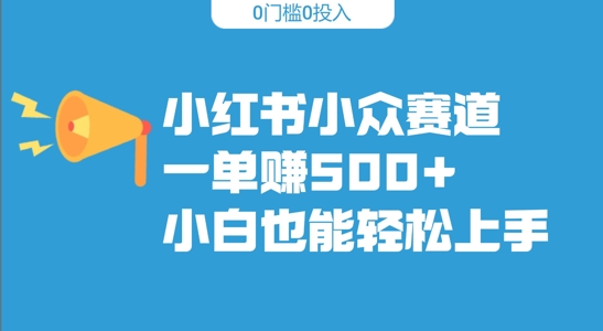 小红书小众赛道，一单收500+，小白也能轻松上手-91学习网