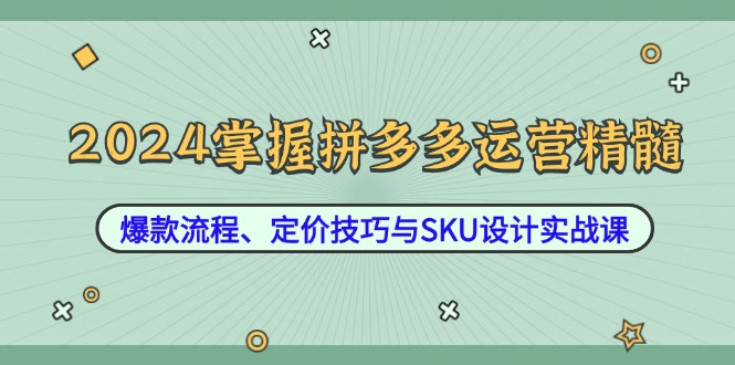 2024掌握拼多多运营精髓：爆款流程、定价技巧与SKU设计实战课-91学习网