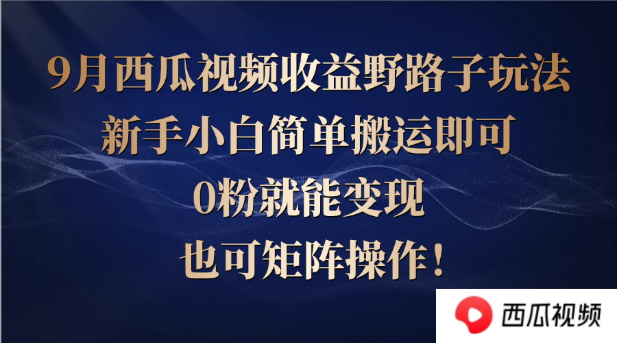 （12760期）西瓜视频收益野路子玩法，新手小白简单搬运即可，0粉就能变现，也可矩…-91学习网