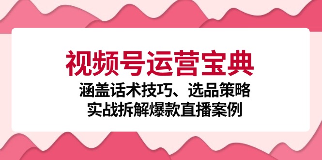 视频号运营宝典：涵盖话术技巧、选品策略、实战拆解爆款直播案例-91学习网