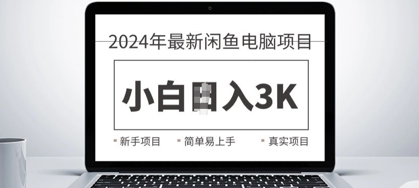 2024最新闲鱼电脑项目，动手就能吃肉的好项目-91学习网