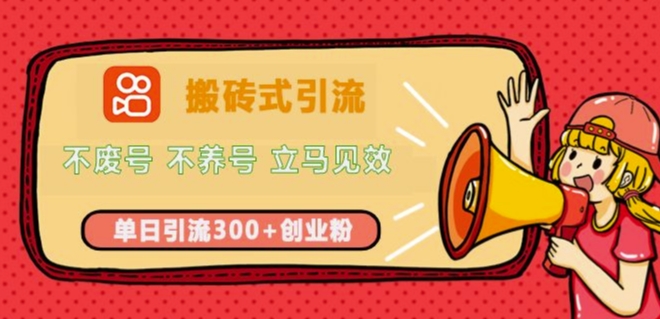 快手搬砖式引流，不废号，不养号，立马见效，单日引流300+精准创业粉-91学习网