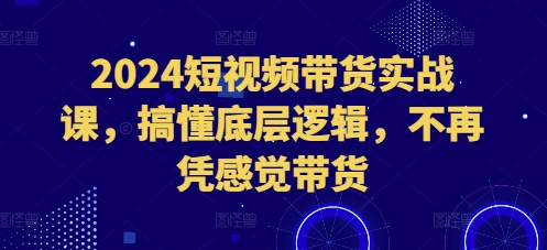 2024短视频带货实战课，搞懂底层逻辑，不再凭感觉带货-91学习网