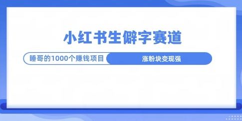 小红书生僻字玩法，快速涨分变现详解-91学习网