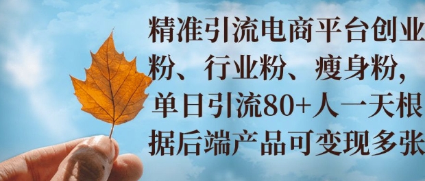 小投资撬动大收益，精准引流创业粉、行业粉，单日引流80+，一天可变现多张-91学习网