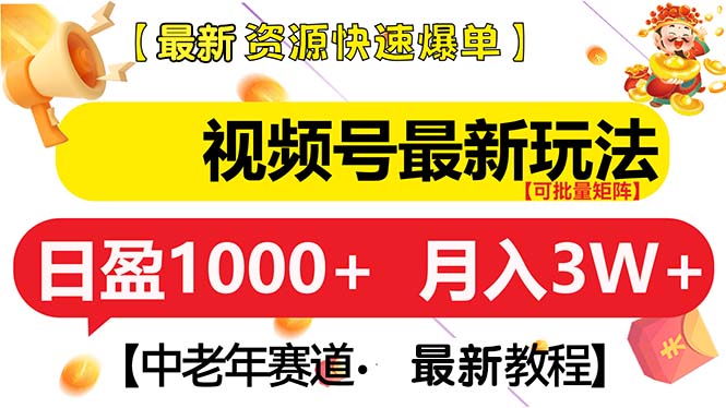 （13530期）视频号最新玩法 中老年赛道 月入3W+-91学习网