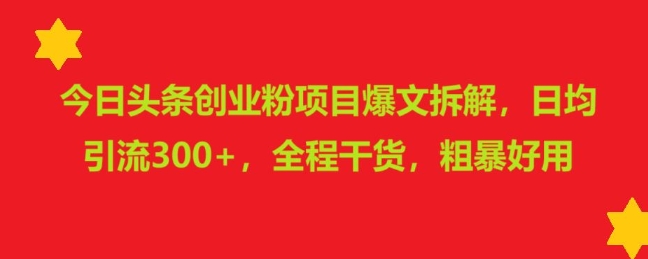 今日头条创业粉项目爆文拆解，日均引流300+，全程干货，粗暴好用-91学习网