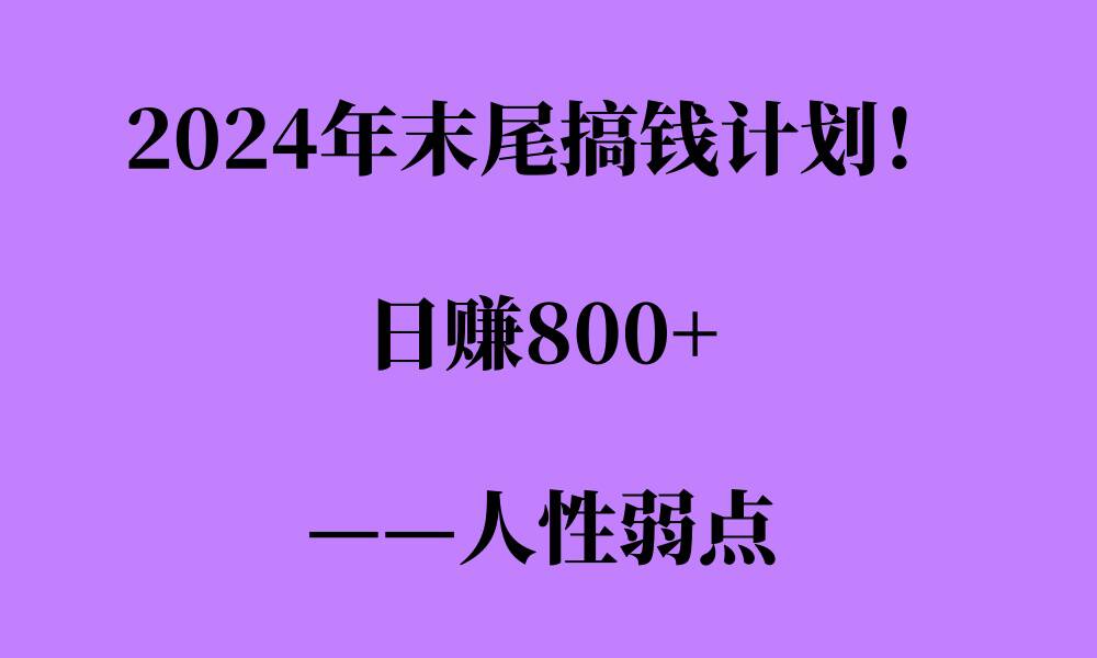 2024年末尾搞钱计划，男粉项目，人性弱点，日入多张-91学习网