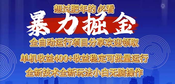 （13675期）2025暴力掘金项目，想过肥年必看！-91学习网