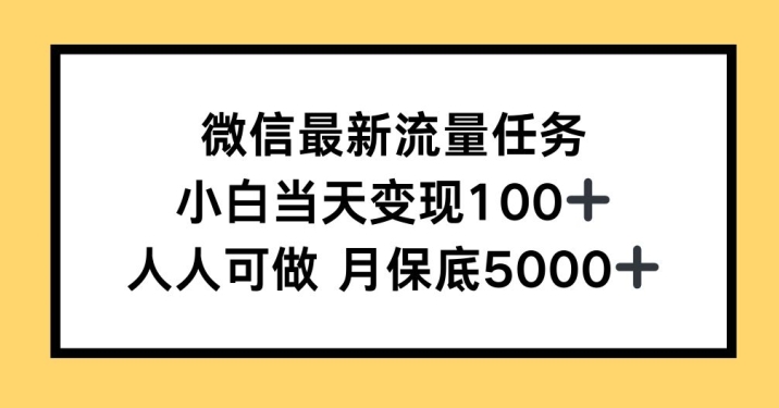 微信最新流量任务，小白当天变现100+，人人可做-91学习网