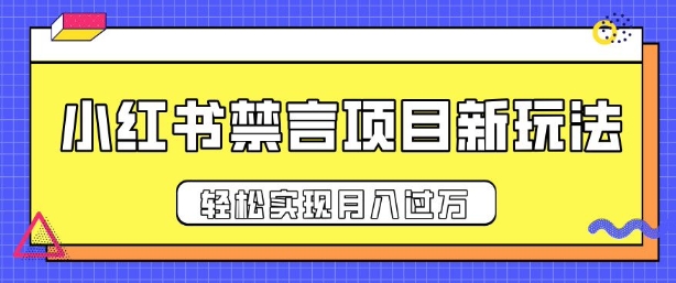 小红书禁言项目新玩法，推广新思路大大提升出单率，轻松实现月入过W-91学习网