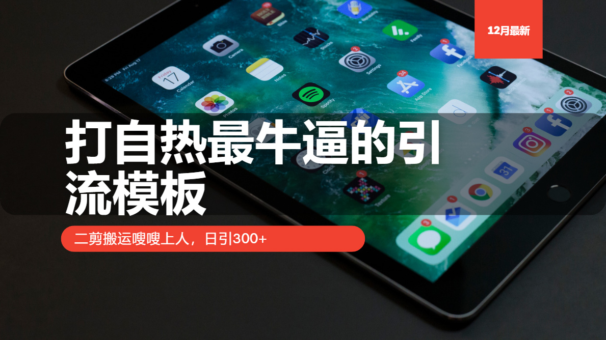 （13654期）打自热最牛逼的引流模板，二剪搬运嗖嗖上人，日引300+-91学习网