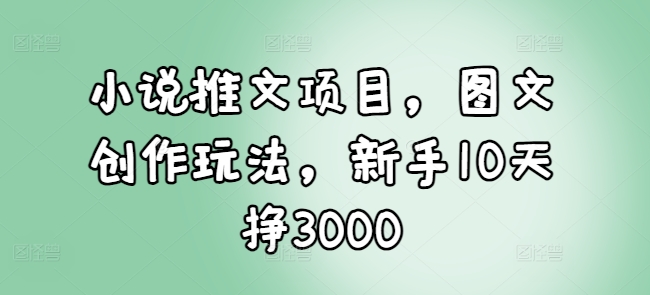 小说推文项目，图文创作玩法，新手10天挣3000-91学习网