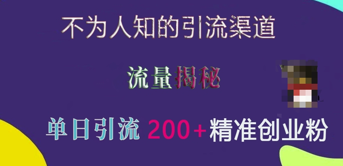 不为人知的引流渠道，流量揭秘，实测单日引流200+精准创业粉【揭秘】-91学习网