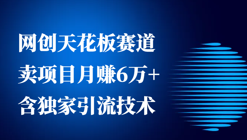 网创天花板赛道，卖项目月赚6万+，含独家引流技术（共26节课）-91学习网