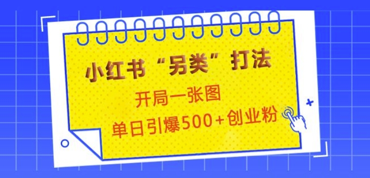 小红书“另类”打法，开局一张图，单日引爆500+精准创业粉【揭秘】-91学习网