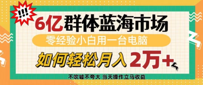 6亿群体蓝海市场，零经验小白用一台电脑，如何轻松月入过w【揭秘】-91学习网