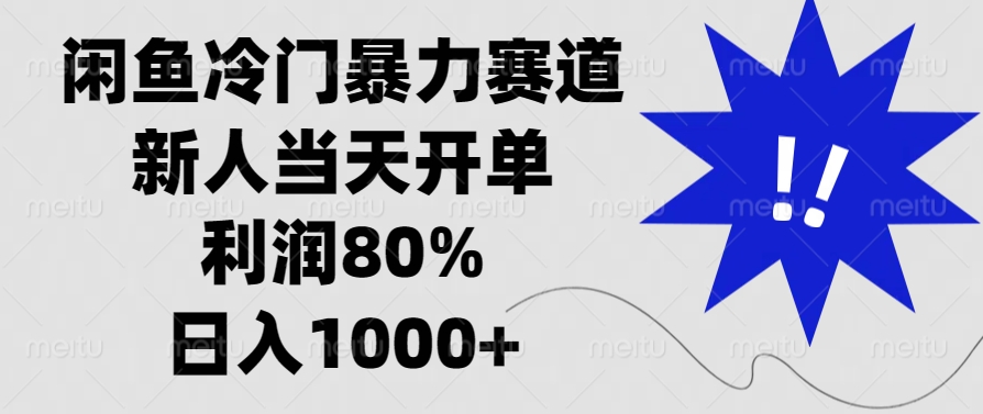 （13660期）闲鱼冷门暴力赛道，新人当天开单，利润80%，日入1000+-91学习网