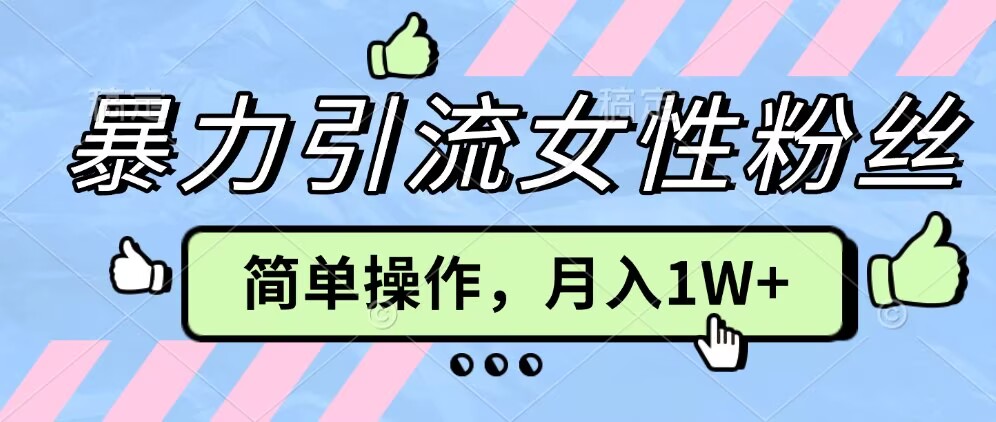 操作“零难度”小众项目，疯狂引流女性粉丝，月入轻松破 1W+-91学习网