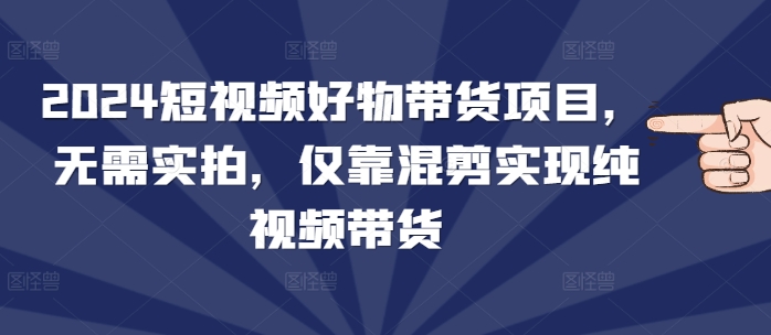 2024短视频好物带货项目，无需实拍，仅靠混剪实现纯视频带货-91学习网