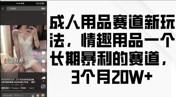 成人用品赛道新玩法，情趣用品一个长期暴利的赛道，3个月收益20个【揭秘】-91学习网