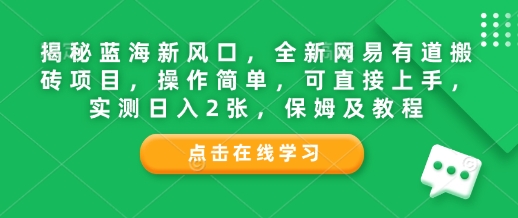 揭秘蓝海新风口，全新网易有道搬砖项目，操作简单，可直接上手，实测日入2张，保姆及教程-91学习网