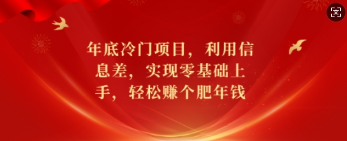 年底冷门项目，利用信息差，实现零基础上手，轻松赚个肥年钱【揭秘】-91学习网