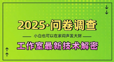 2025问卷调查最新工作室技术解密：一个人在家也可以闷声发大财，小白一天2张，可矩阵放大【揭秘】-91学习网