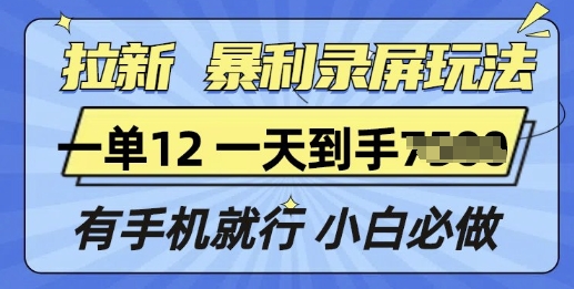 拉新暴利录屏玩法，一单12块，有手机就行，小白必做-91学习网