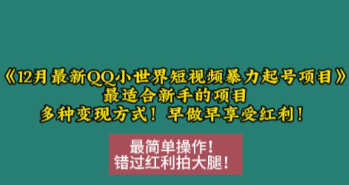 12月最新QQ小世界短视频暴力起号项目，最适合新手的项目，多种变现方式-91学习网