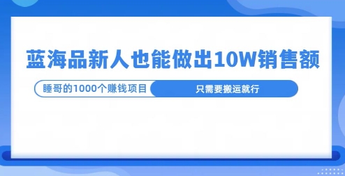 这个蓝海品，新号也能卖出10W的销售额，年底疯狂怼量就能出结果-91学习网