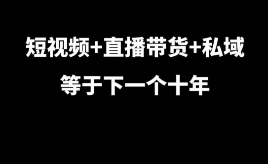 短视频+直播带货+私域等于下一个十年，大佬7年实战经验总结-91学习网