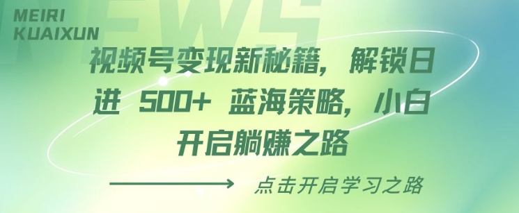 视频号变现新秘籍，解锁日进 5张 蓝海策略，小白开启躺Z之路-91学习网