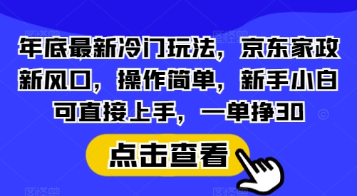 年底最新冷门玩法，京东家政新风口，操作简单，新手小白可直接上手，一单挣30【揭秘】-91学习网