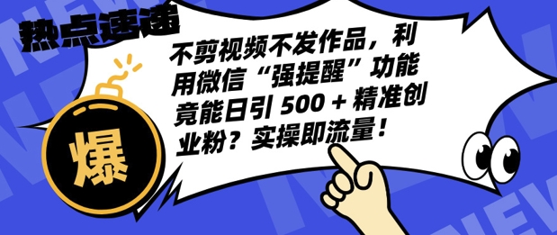 不剪视频不发作品，视频号私信日引 500 + 精准创业粉?实操即流量!-91学习网