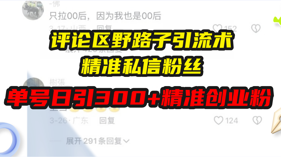 （13676期）评论区野路子引流术，精准私信粉丝，单号日引流300+精准创业粉-91学习网