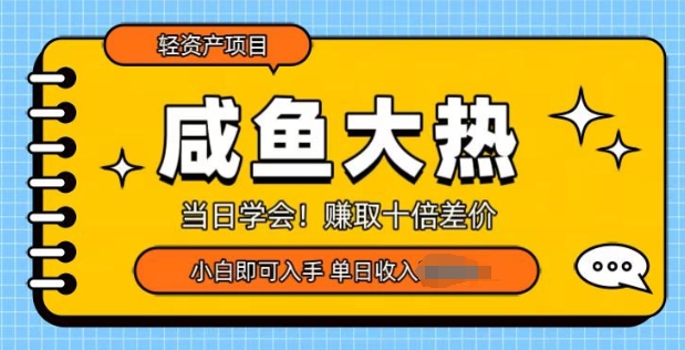 咸鱼大热轻资产类项目，当日学会，赚取十倍差价，小白即可入手-91学习网