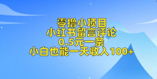 零撸小项目，小红书留言评论，0.5元一条，小白也能一天收入100+-91学习网