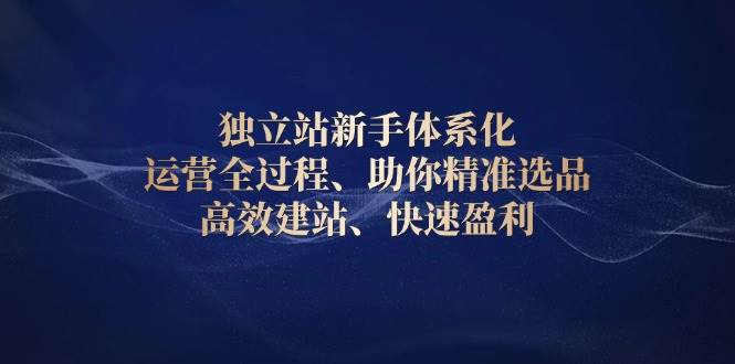 独立站新手体系化 运营全过程，助你精准选品、高效建站、快速盈利-91学习网