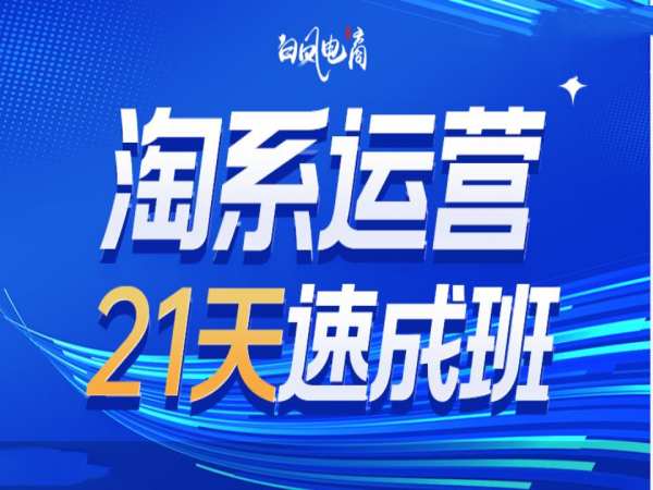 淘系运营21天速成班35期，年前最后一波和2025方向-91学习网