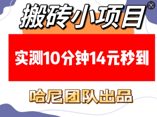 搬砖小项目，实测10分钟14元秒到，每天稳定几张(赠送必看稳定)-91学习网